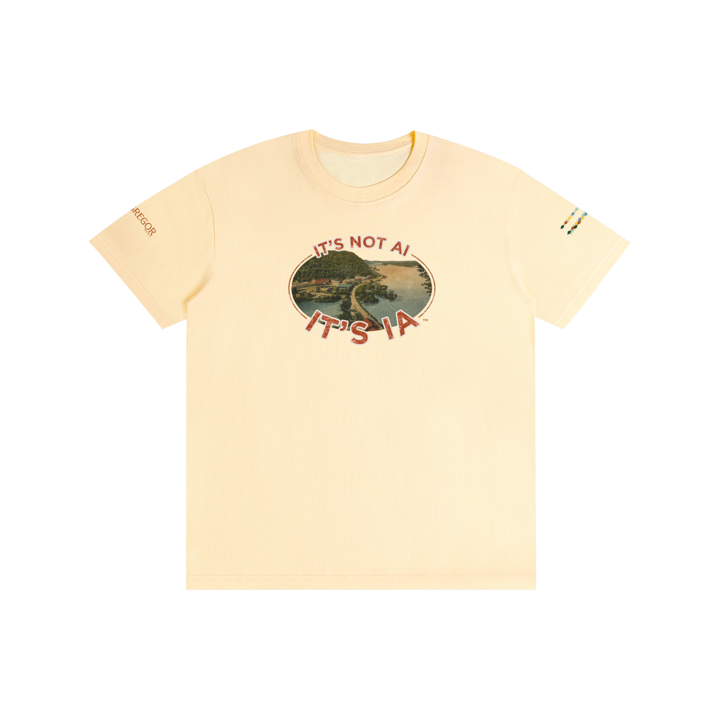 "It's not AI, It's IA" Vintage Pure Cotton Unisex T-Shirt