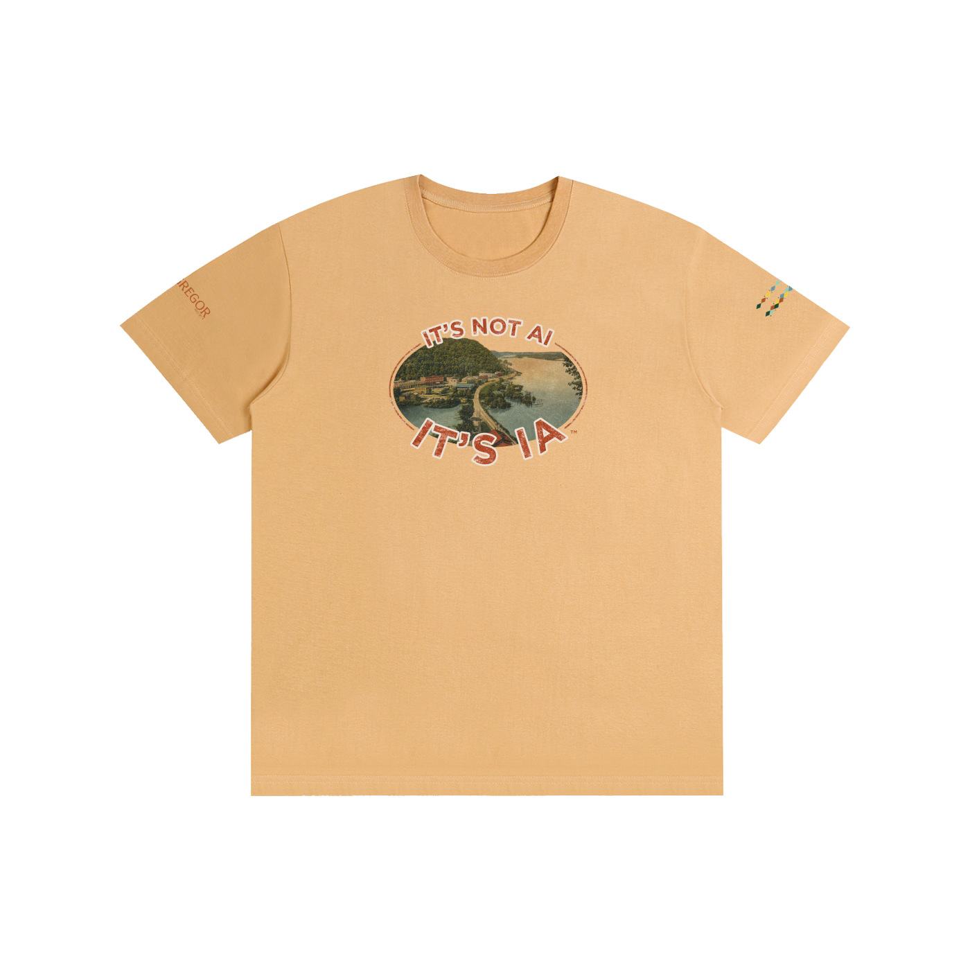 "It's not AI, It's IA" Vintage Pure Cotton Unisex T-Shirt